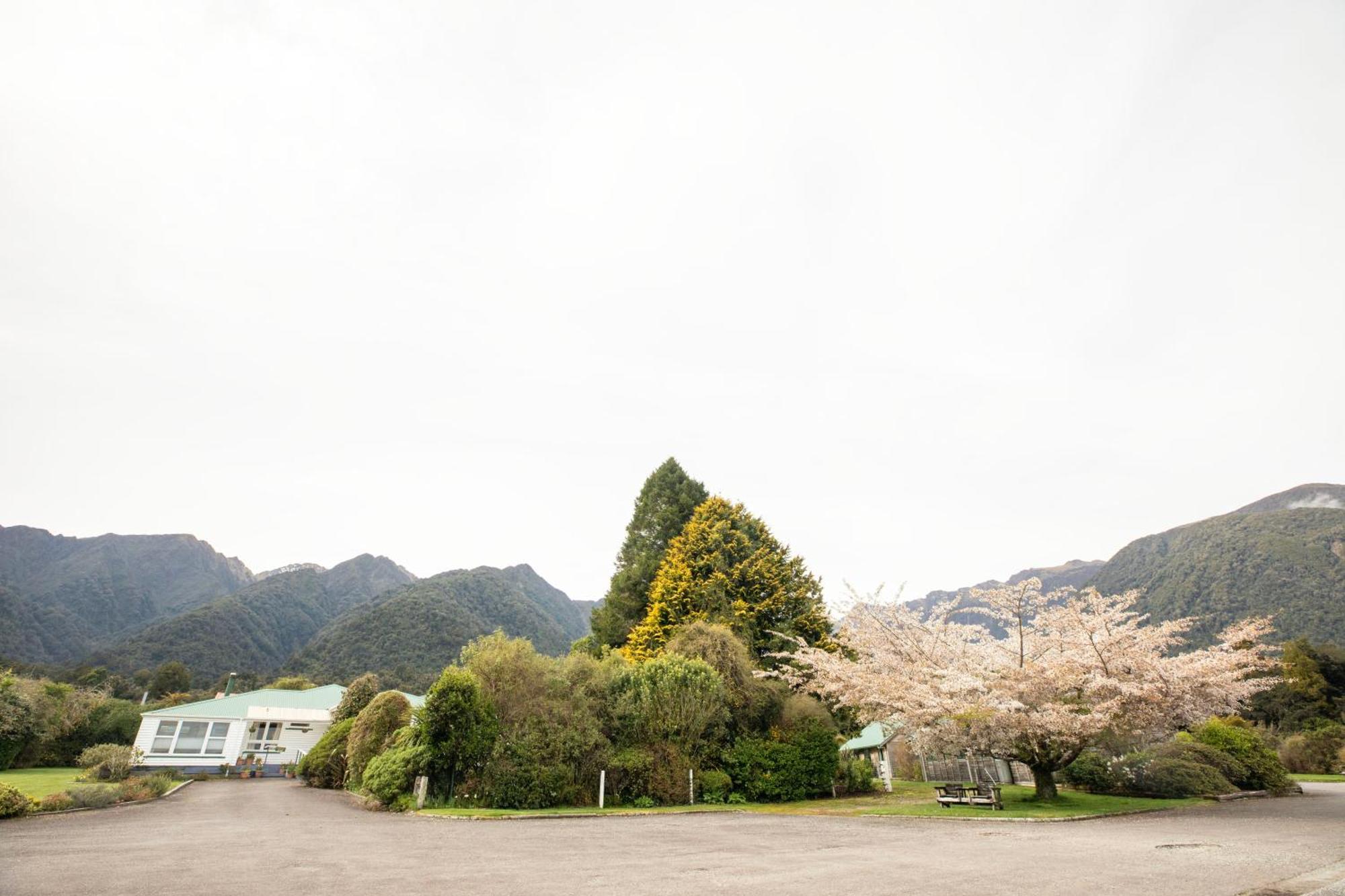Rainforest Motel Fox Glacier Exterior photo